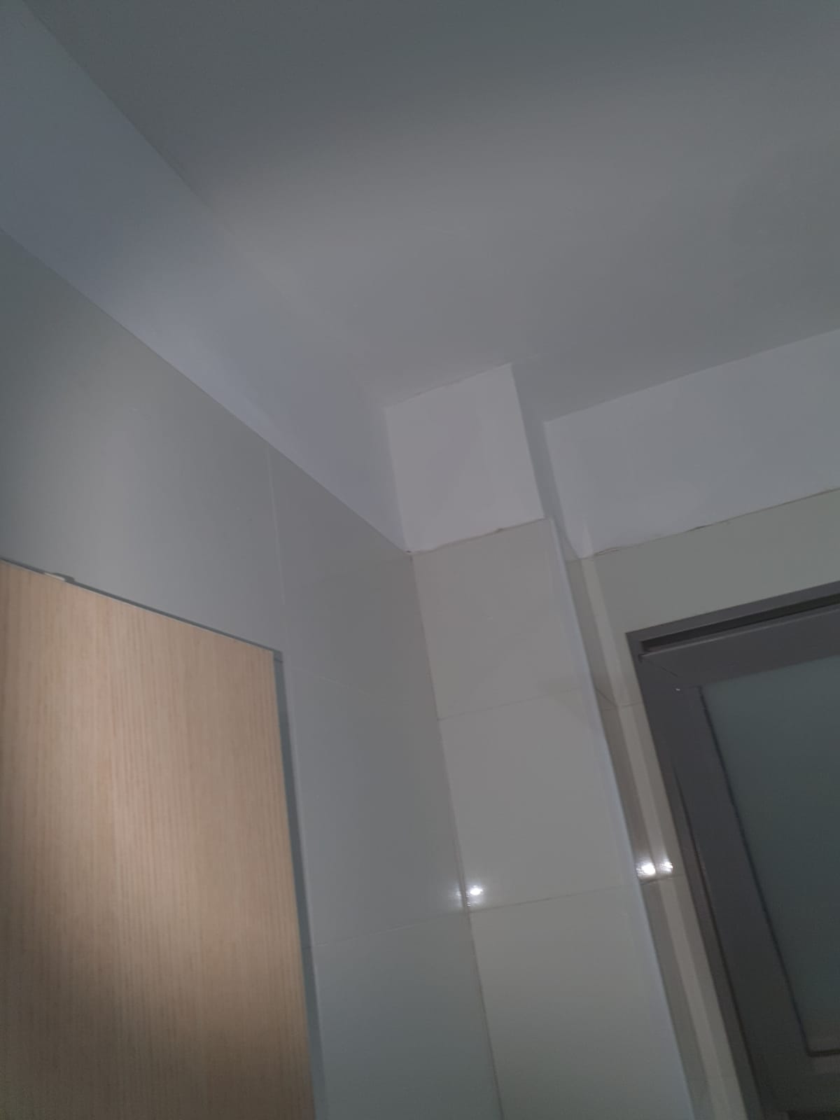 תיקוני שפכטל וצבע