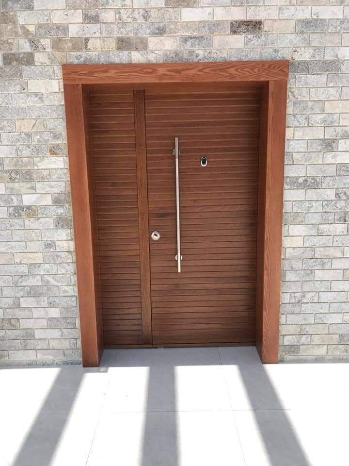 דלתות כניסה