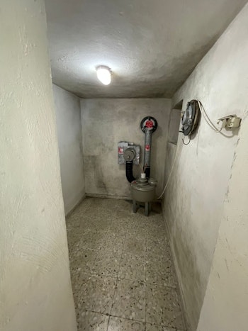 טיפול בעובש