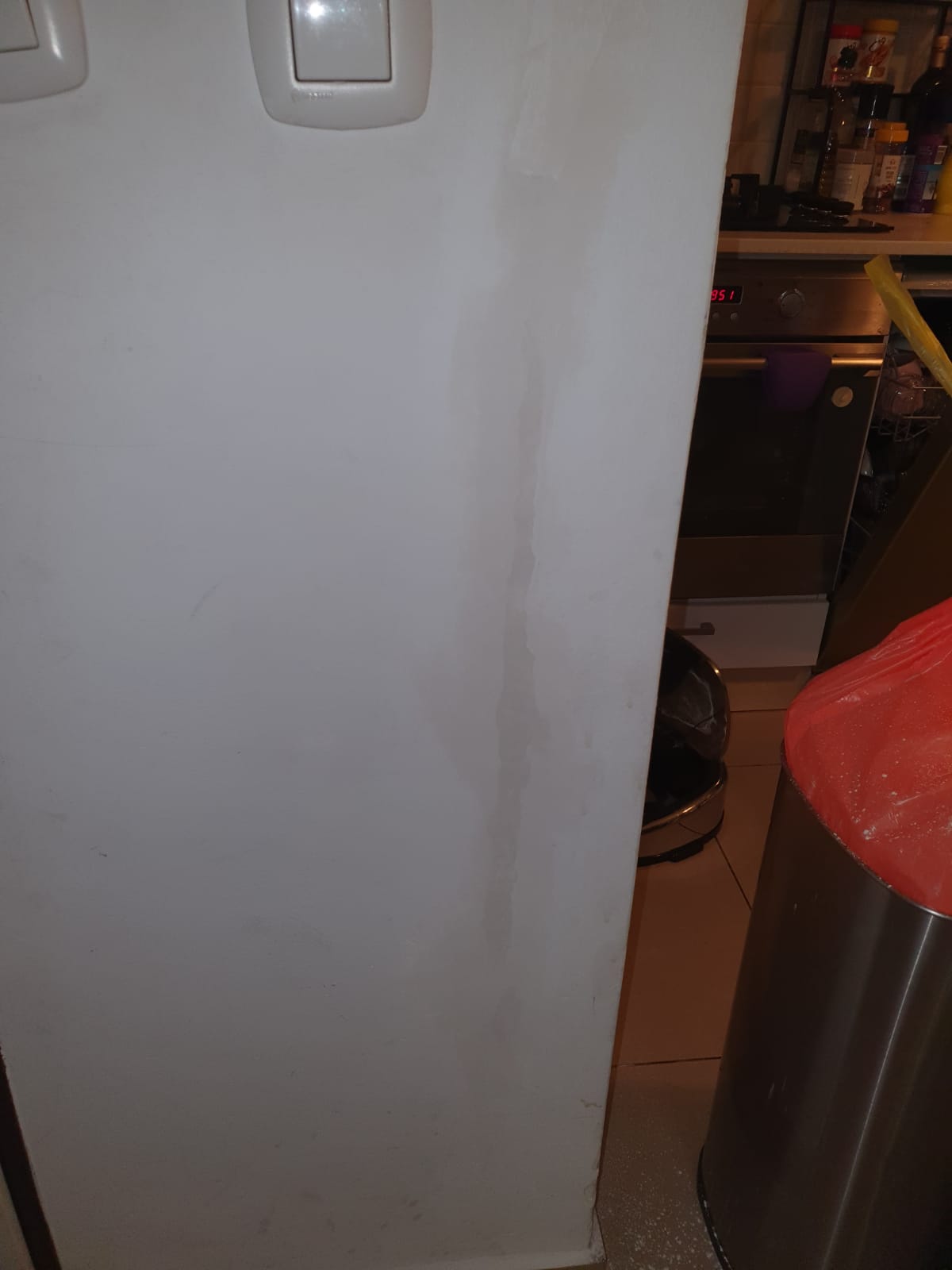 תיקוני שפכטל וצבע