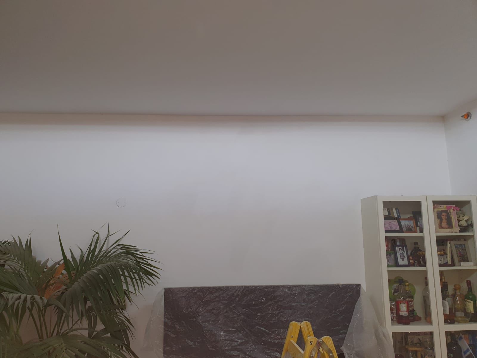 תיקוני שפכטל וצבע