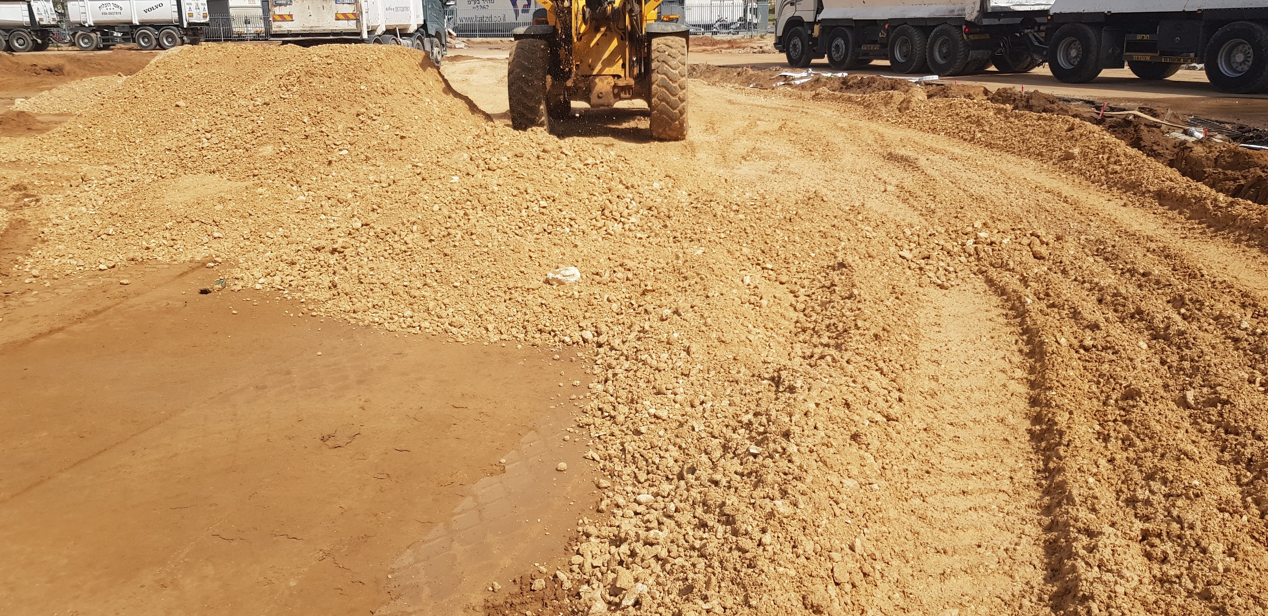 וולדרום תל אביב