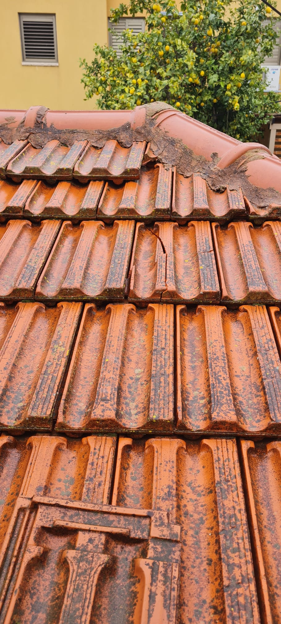 תיקון גגות רעפים