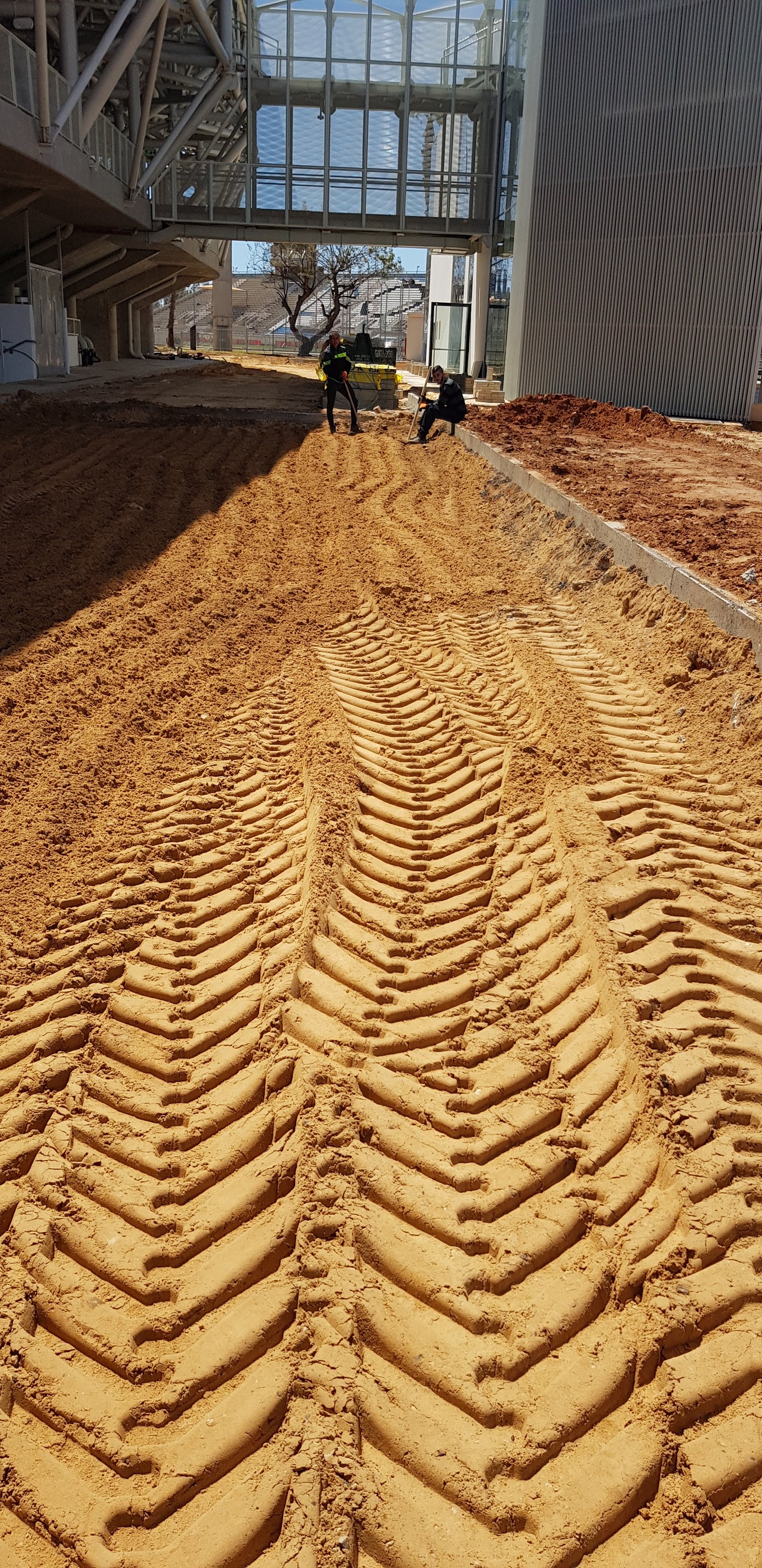 וולדרום תל אביב