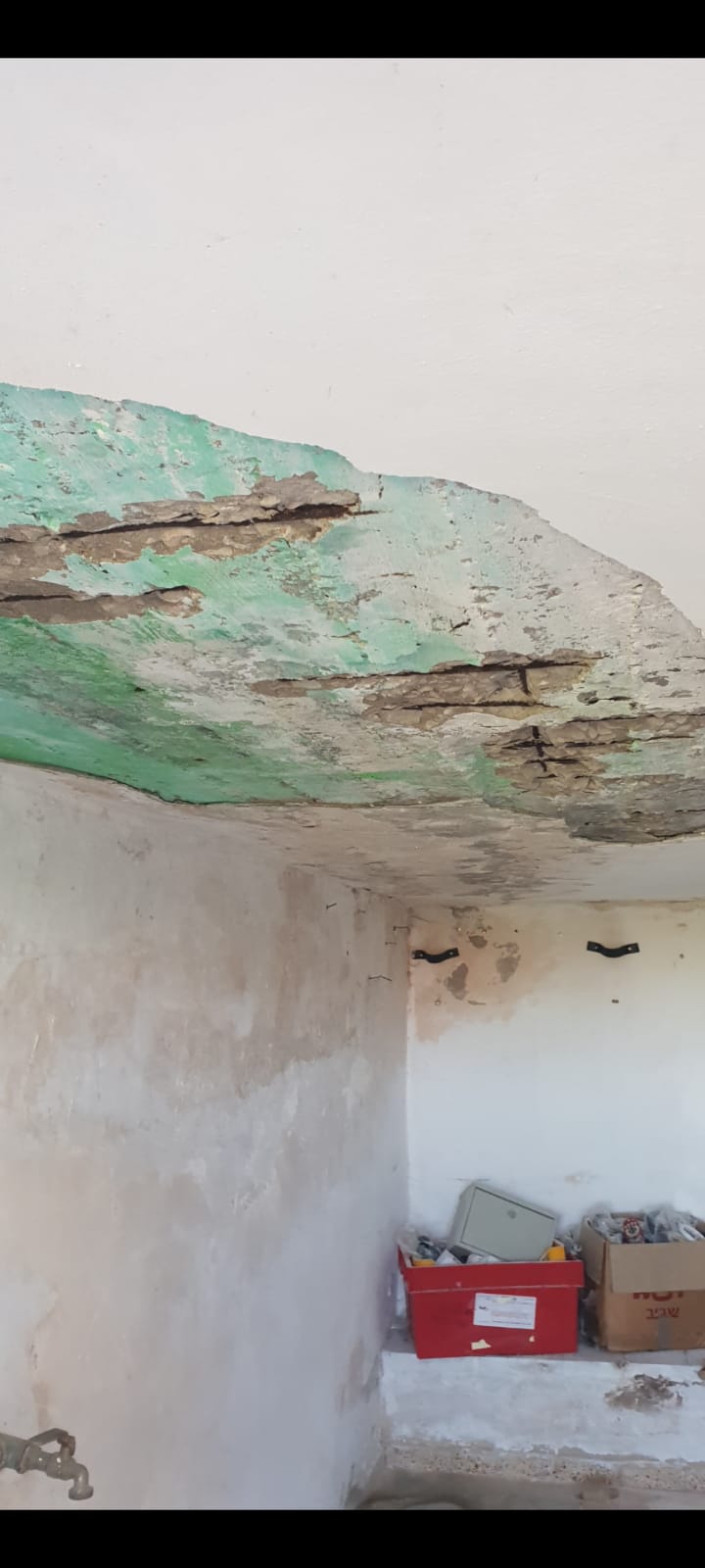 תיקונים וצבע