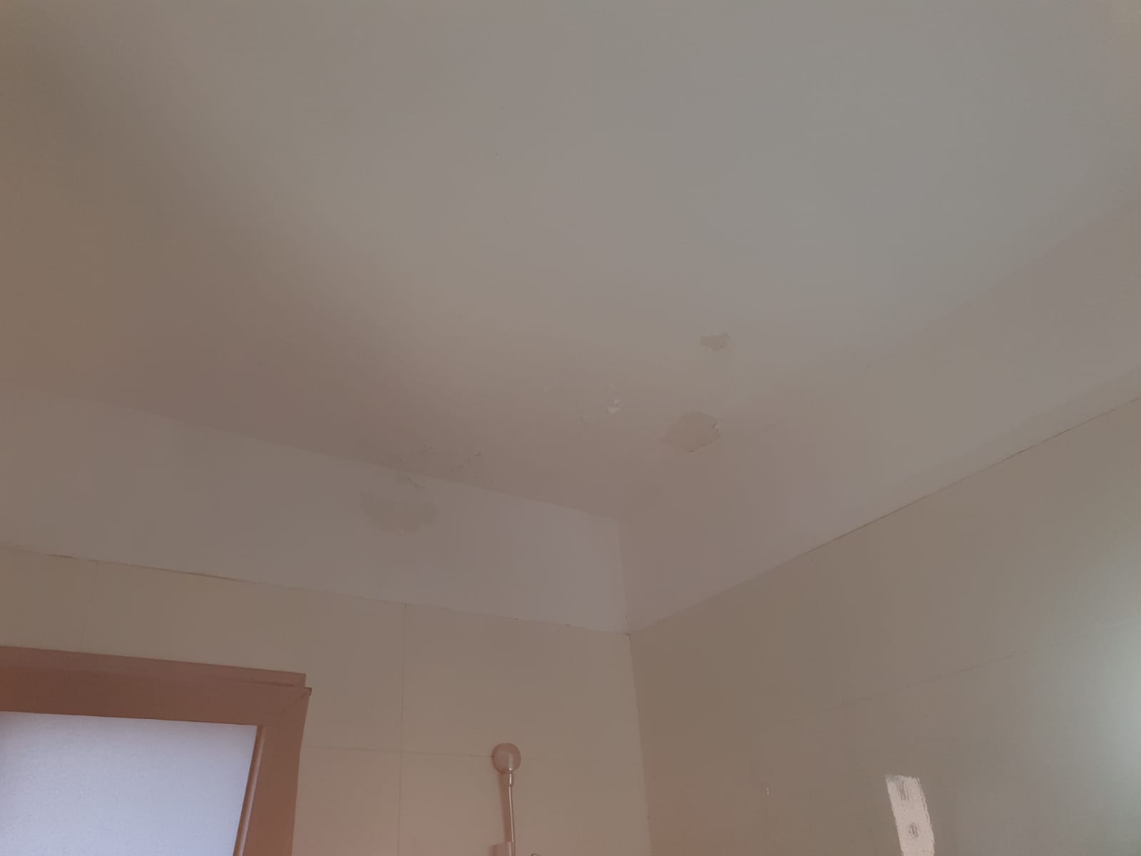 תיקוני שפכטל וצבע