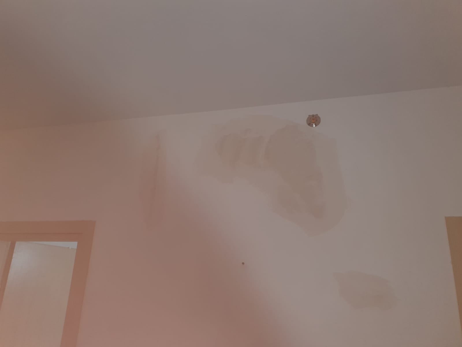 תיקוני שפכטל וצבע