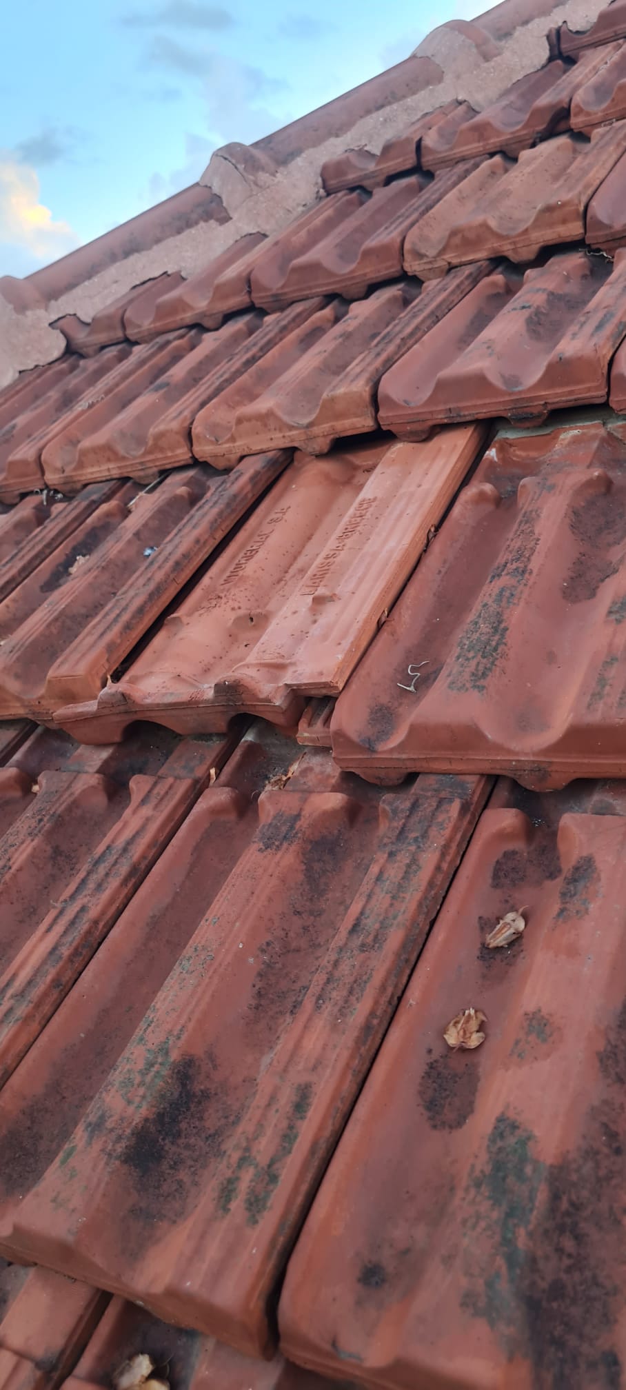 תיקון גגות רעפים