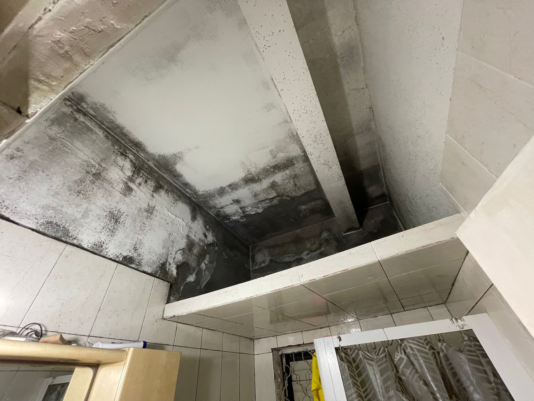 טיפול בעובש