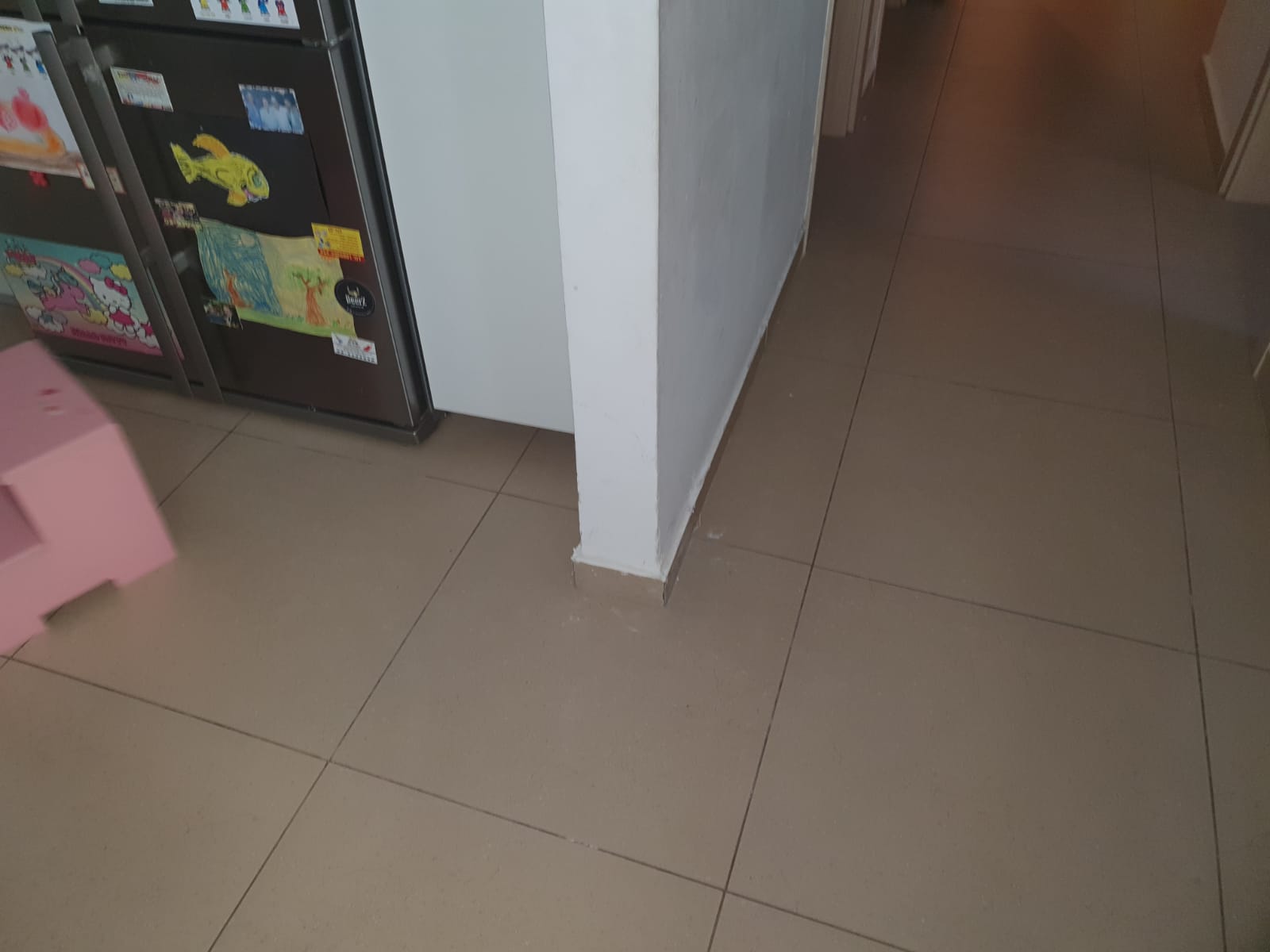 תיקוני שפכטל וצבע