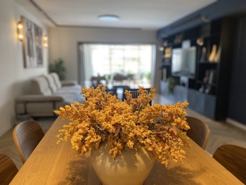 דירת הגן על קו החוף