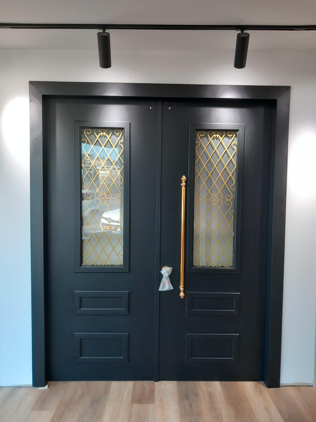 דלתות כניסה