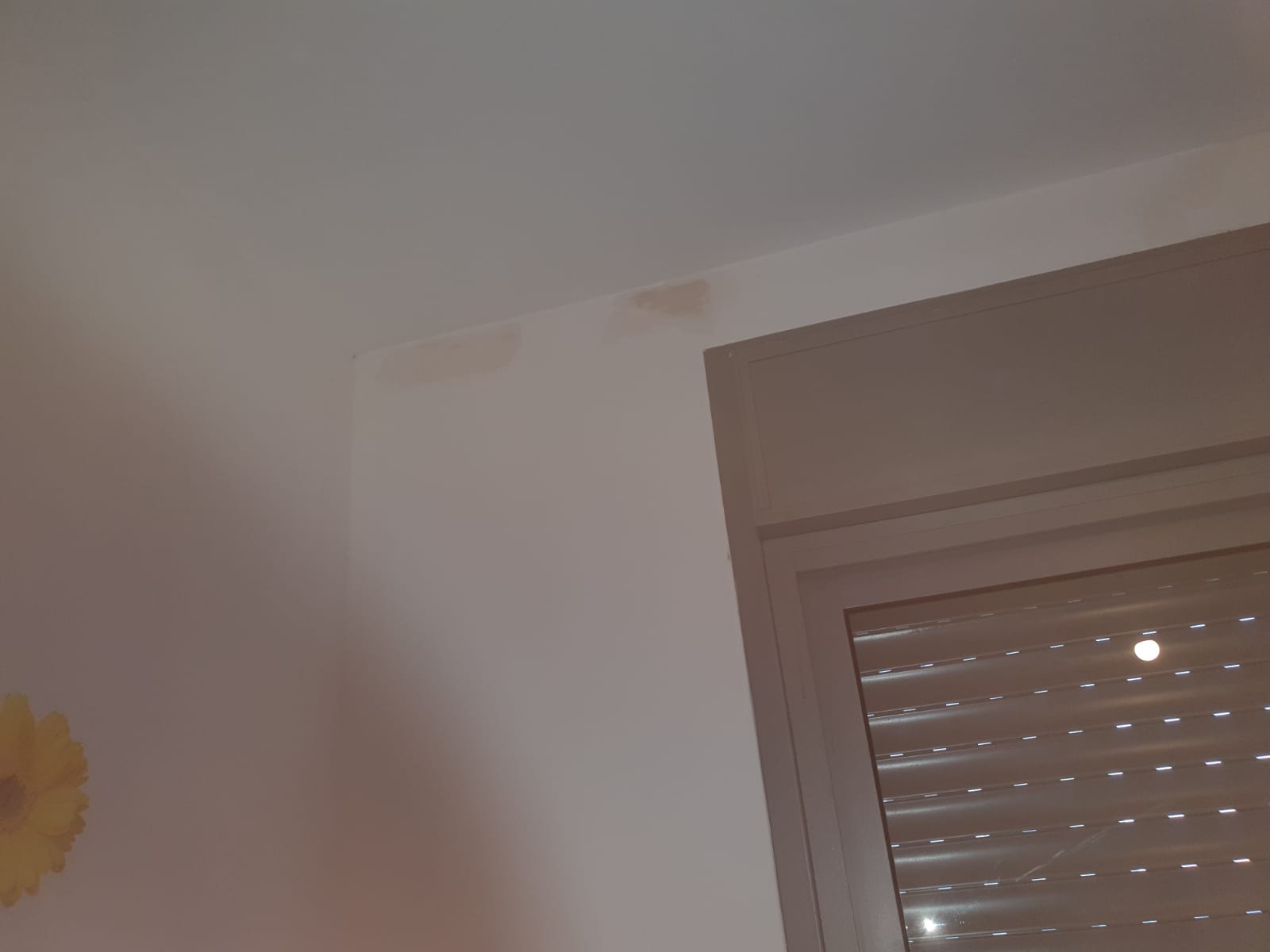 תיקוני שפכטל וצבע