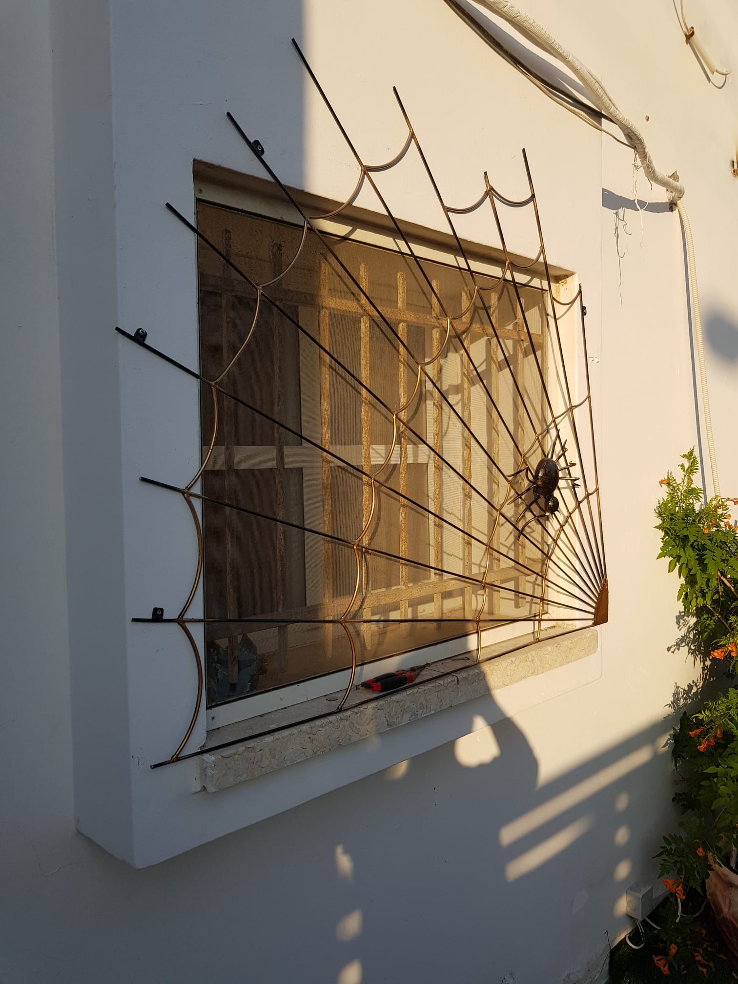 סורגים מיוחדים