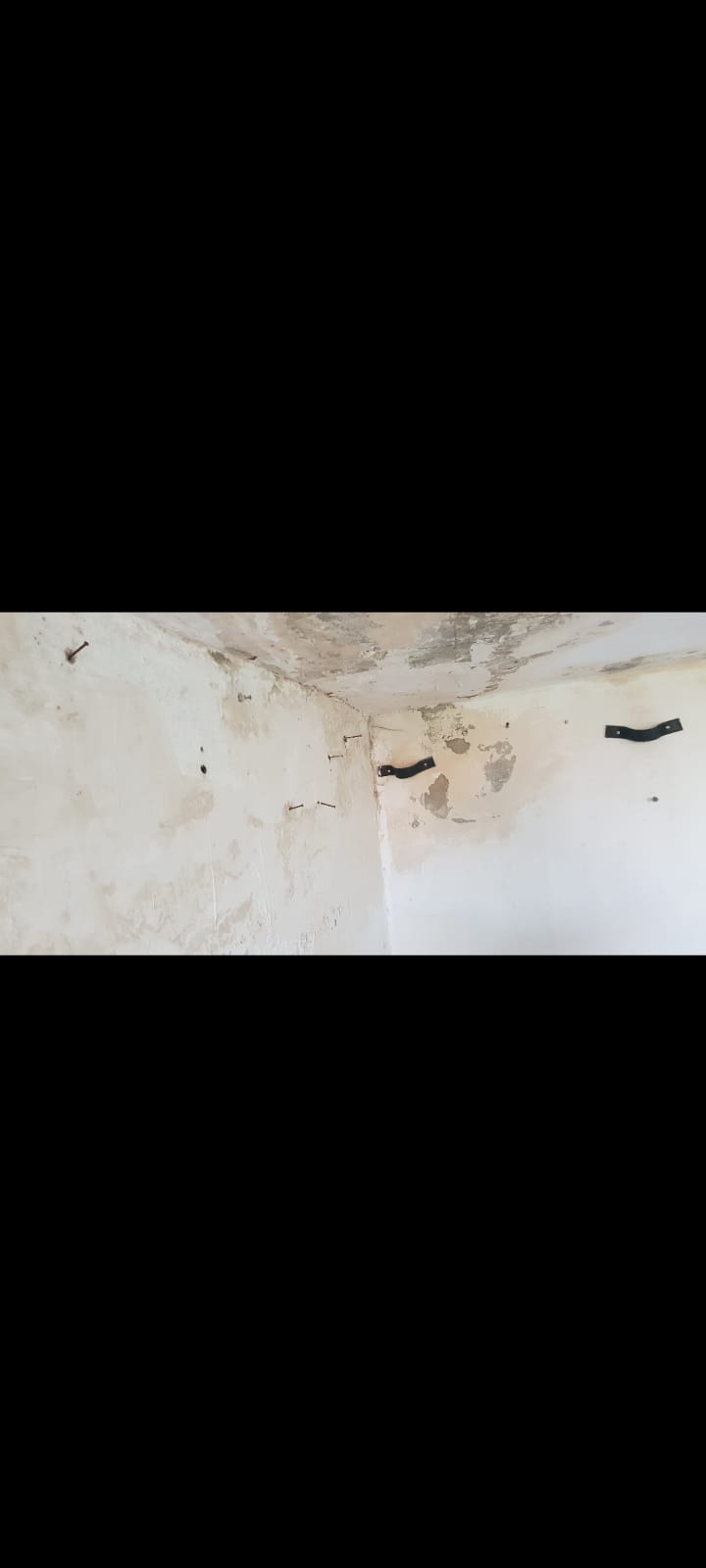 תיקונים וצבע