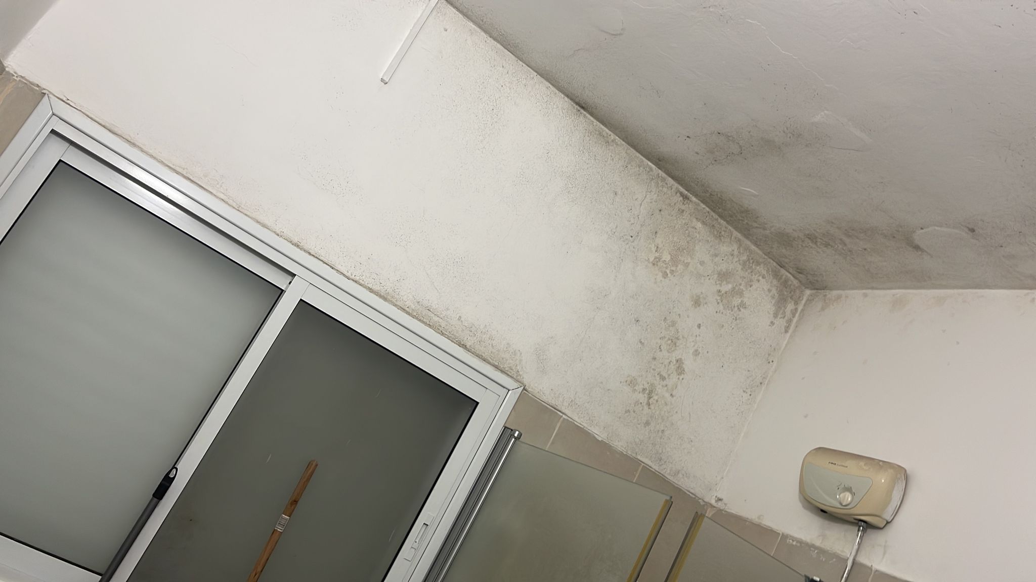 טיפול בעובש