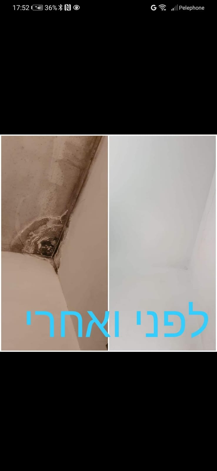 טיפול בעובש