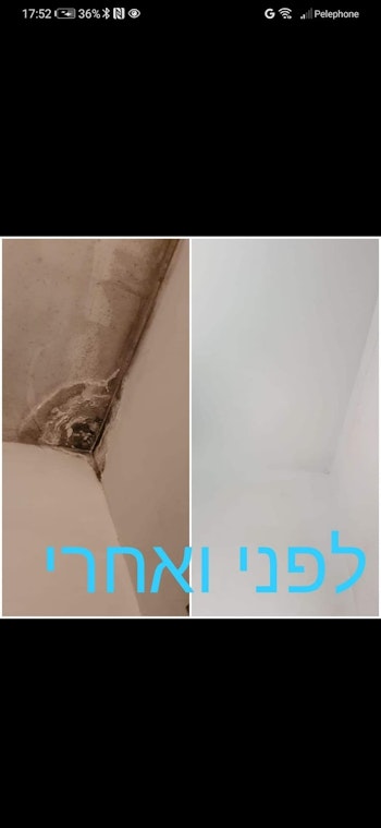 טיפול בעובש