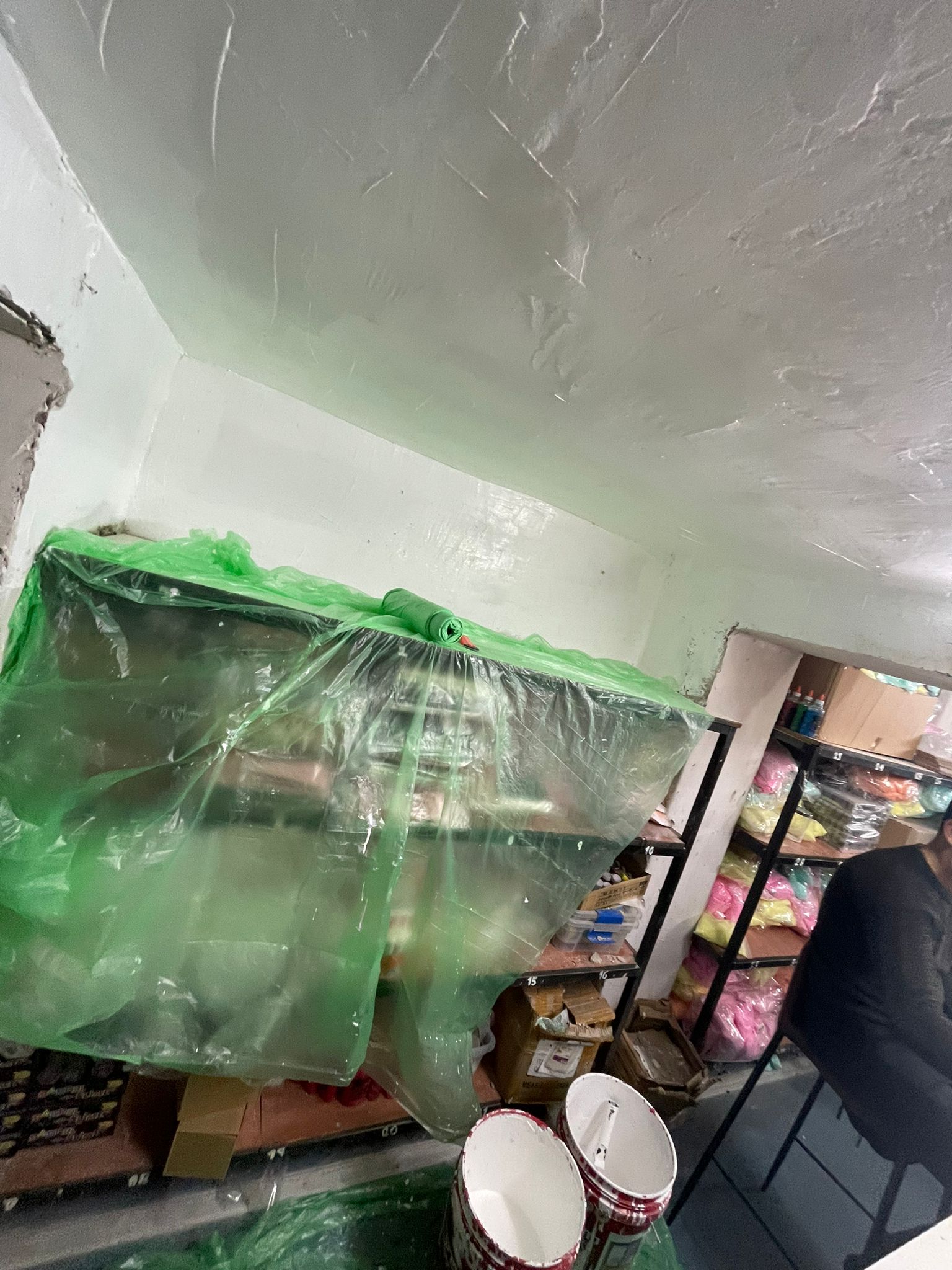 טיפול בעובש