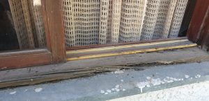 תיקון ושחזור חלונות עץ ישנים