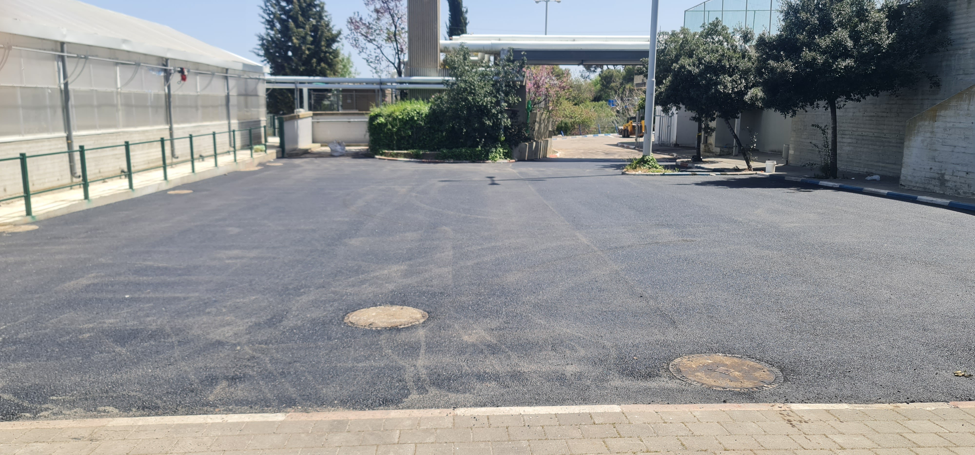 אוניברסיטת חיפה