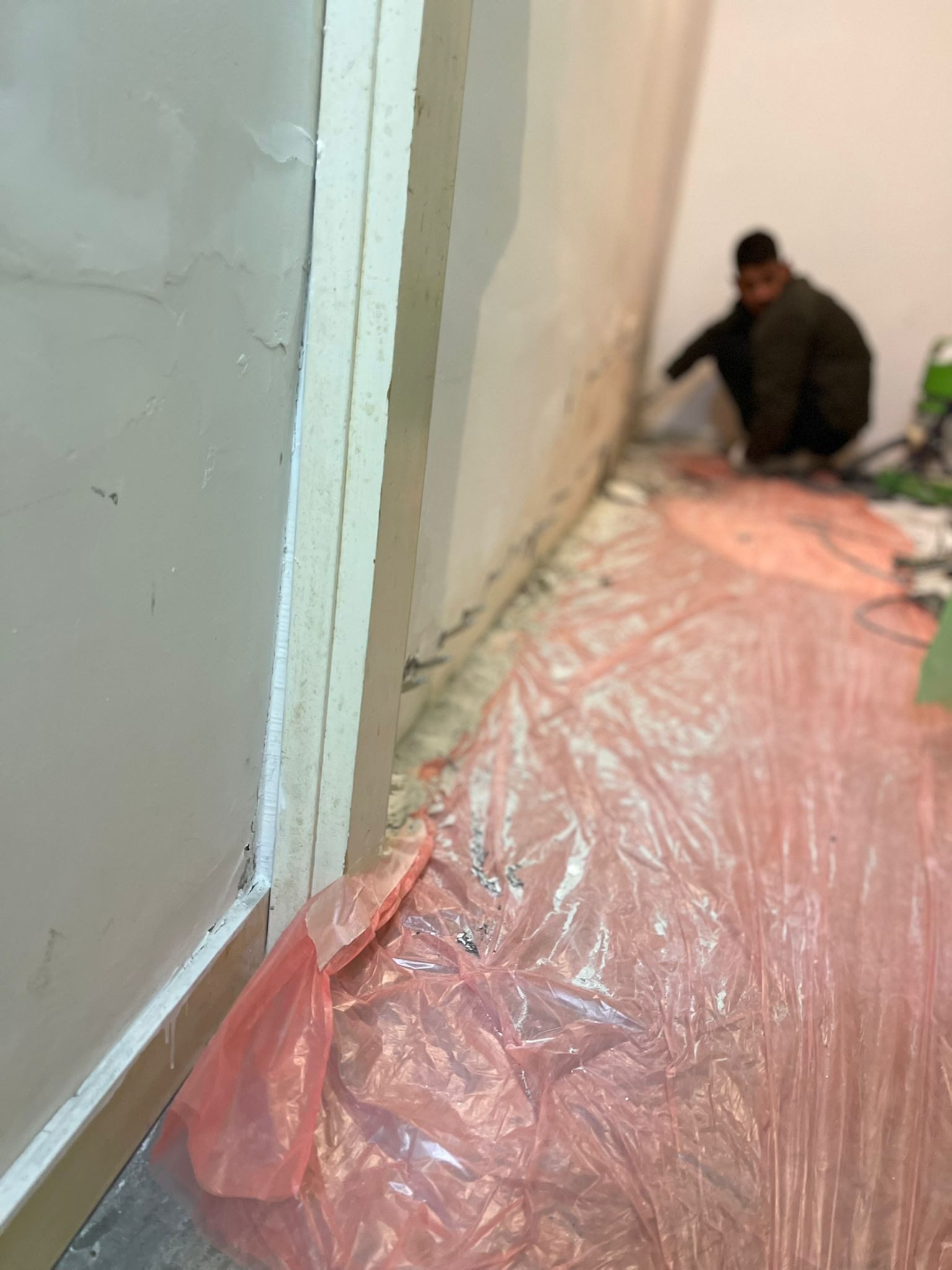 טיפול בעובש