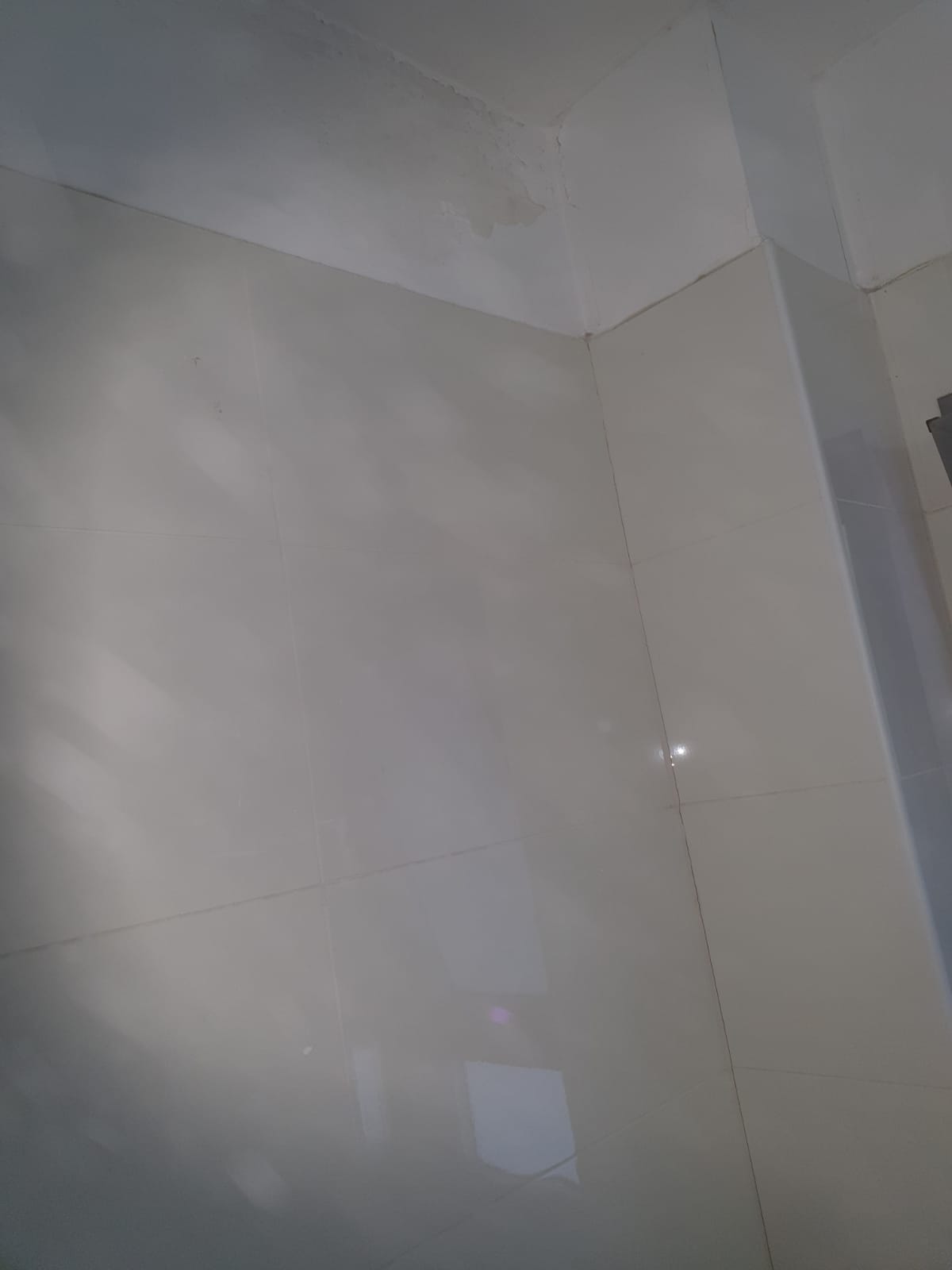 תיקוני שפכטל וצבע