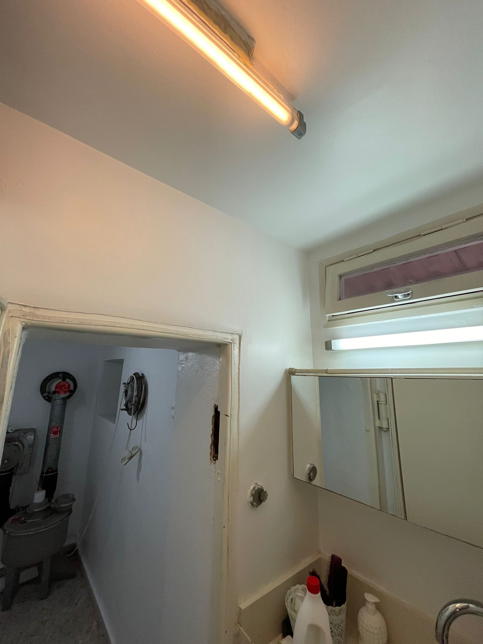 טיפול בעובש