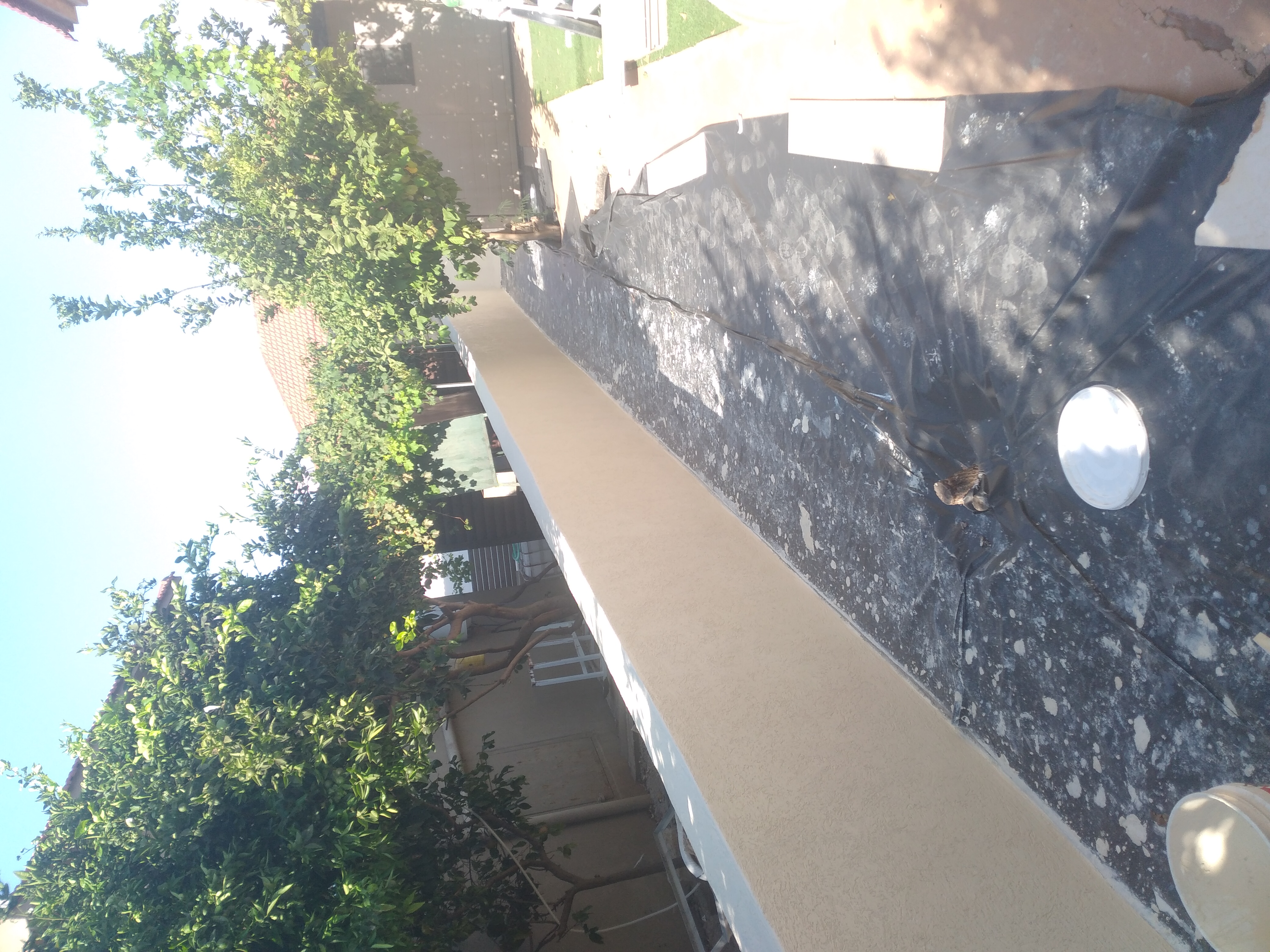 טייח ושליכט צבעוני