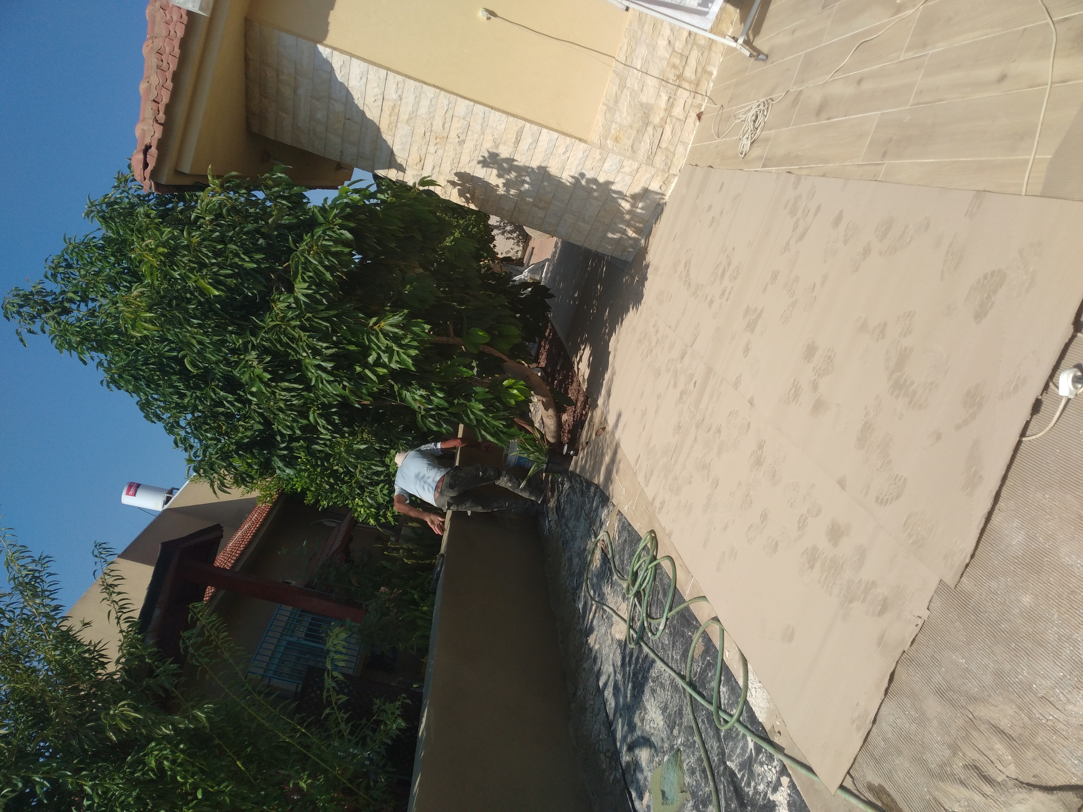 טייח ושליכט צבעוני