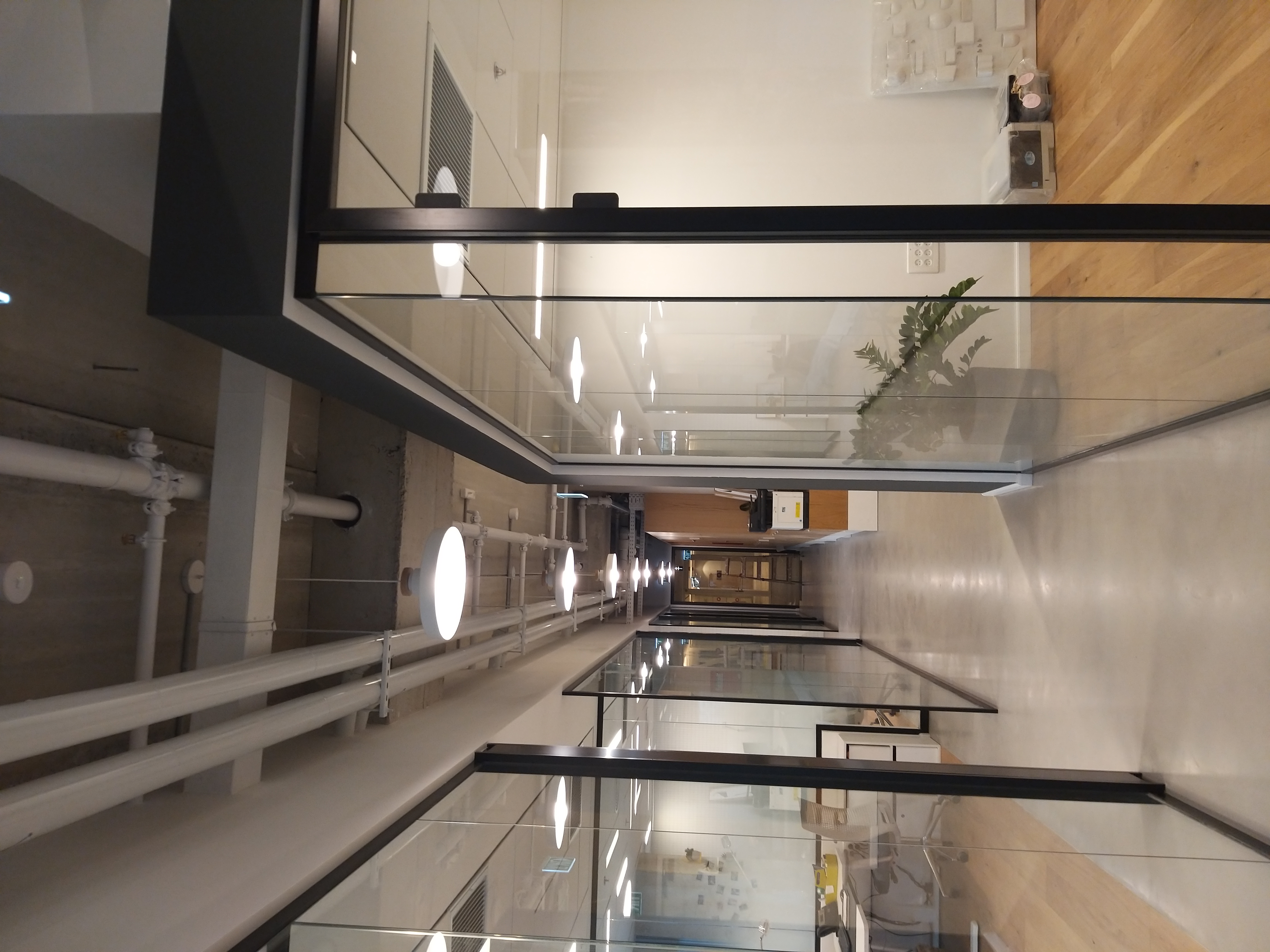 עבודות גבס וצבע