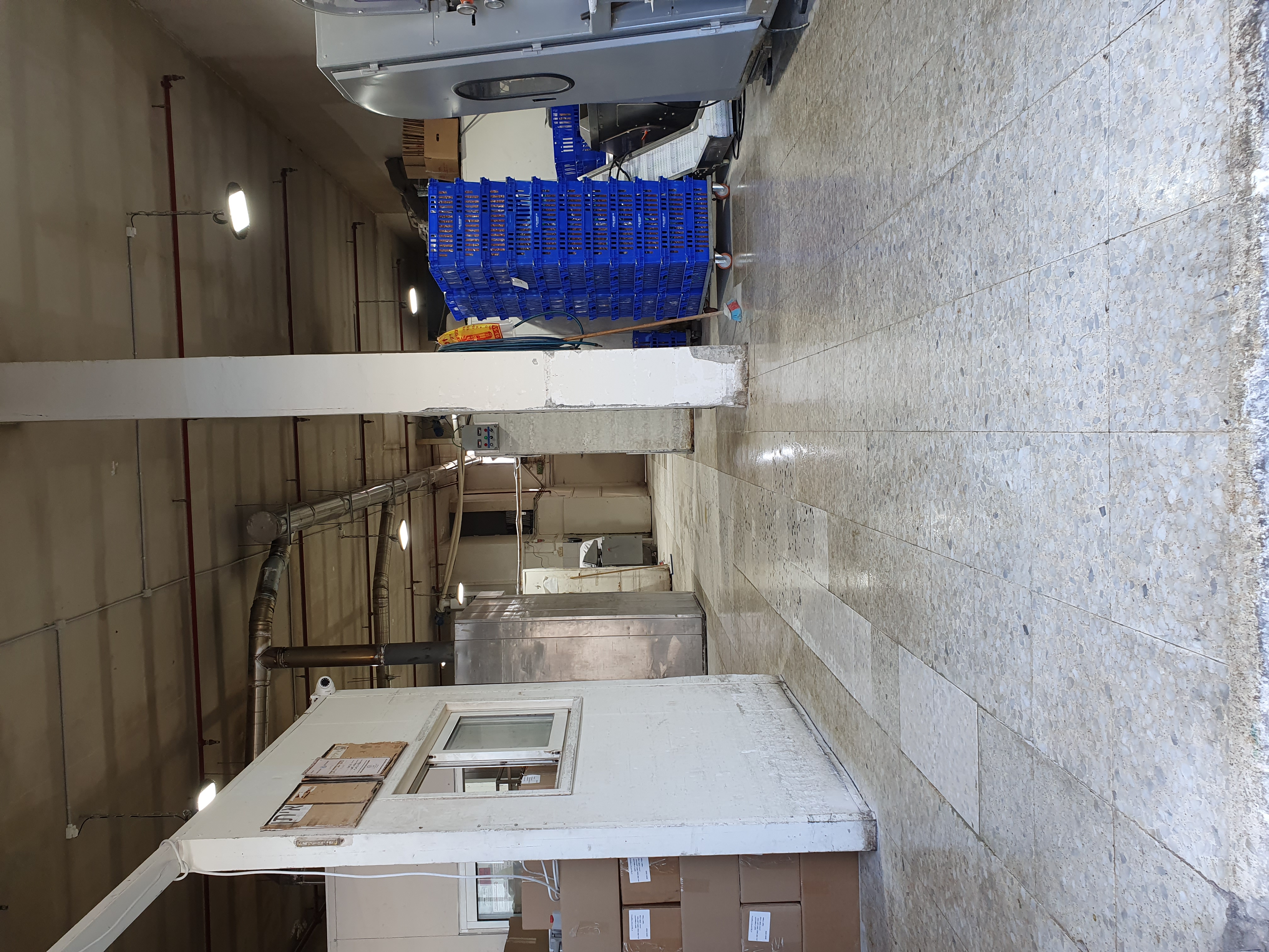 עבודת ריצוף במאפייה