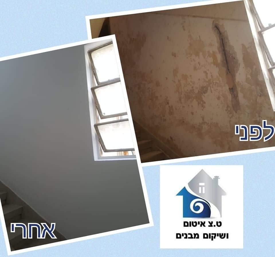 שיקום נזקי מים + טיפול בעובש