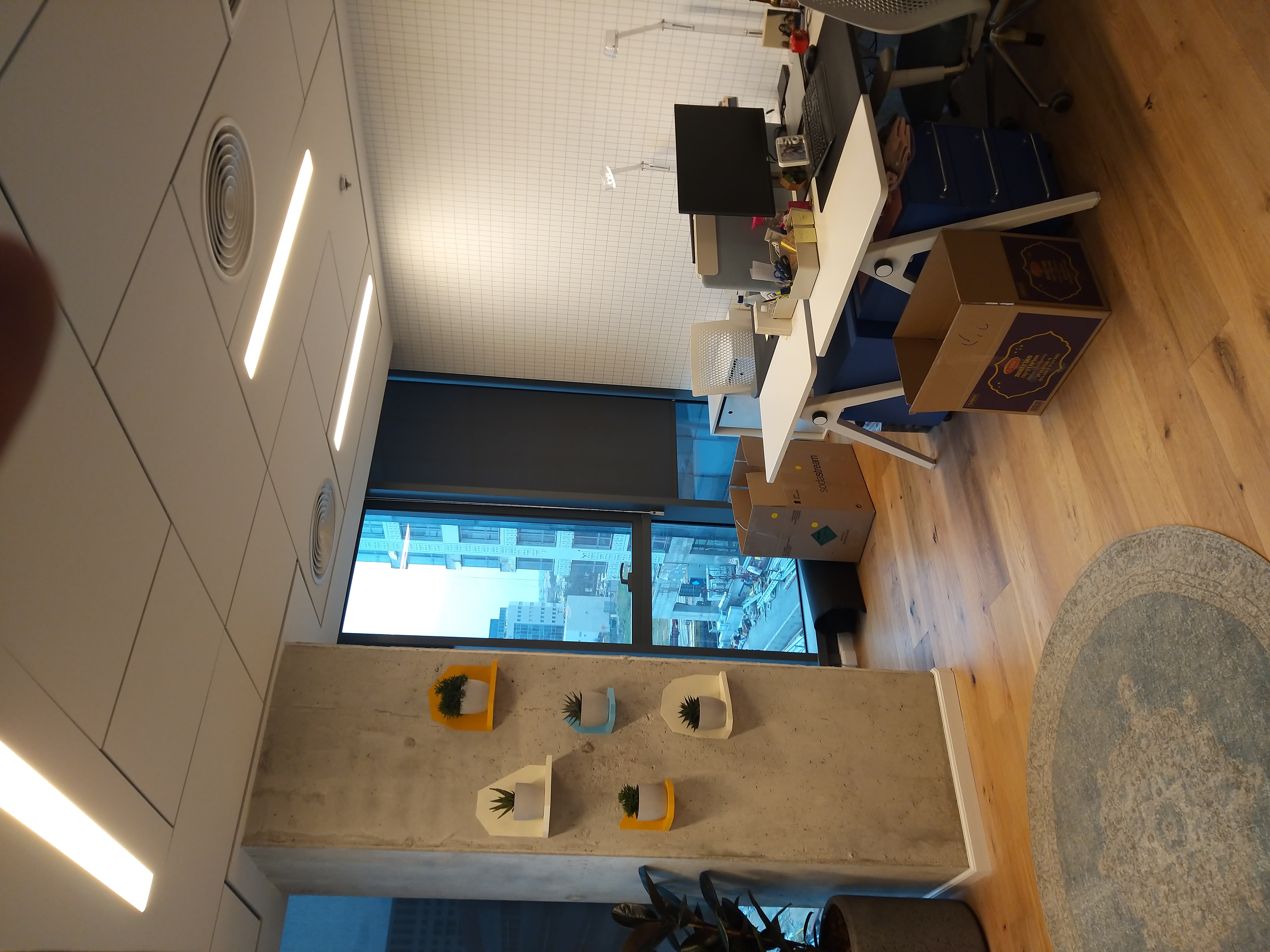 עבודות גבס וצבע