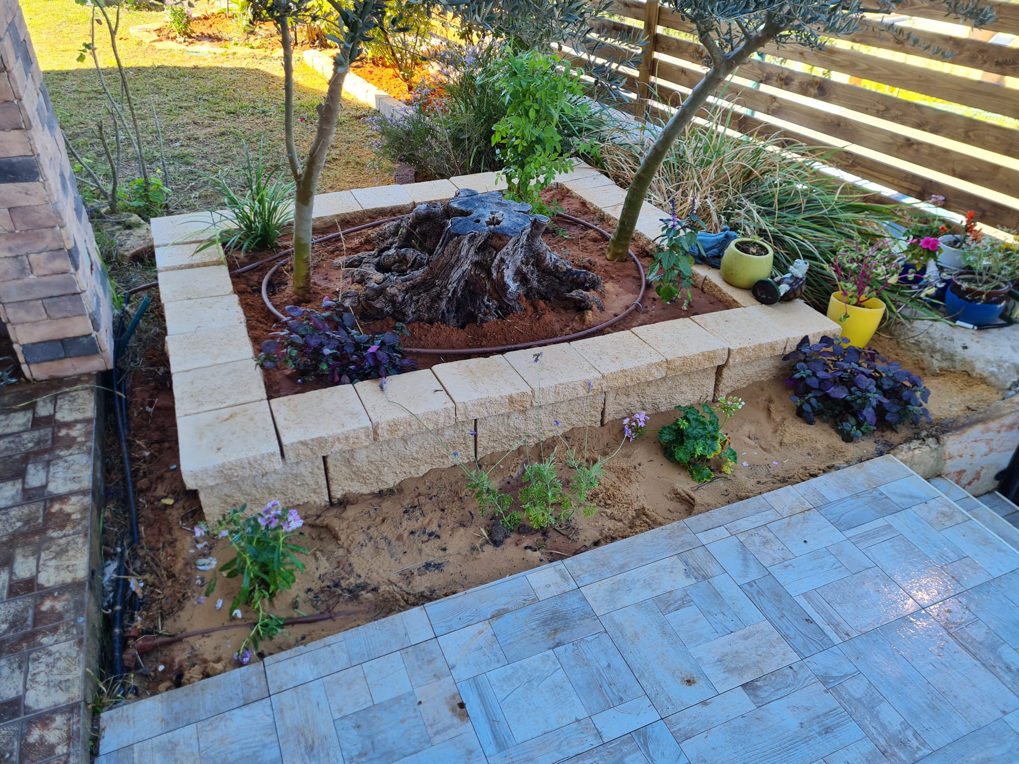 שיפוץ כללי בבית ובחוץ