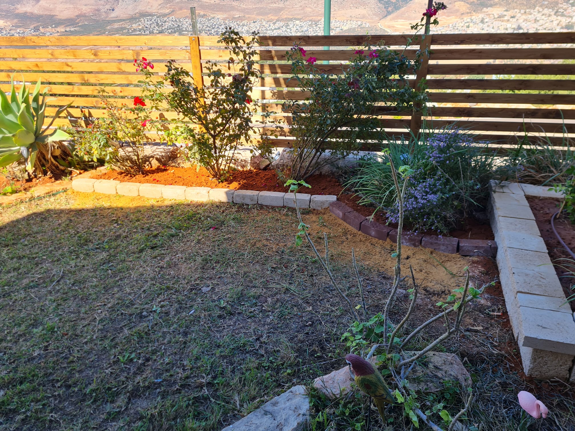 שיפוץ כללי בבית ובחוץ