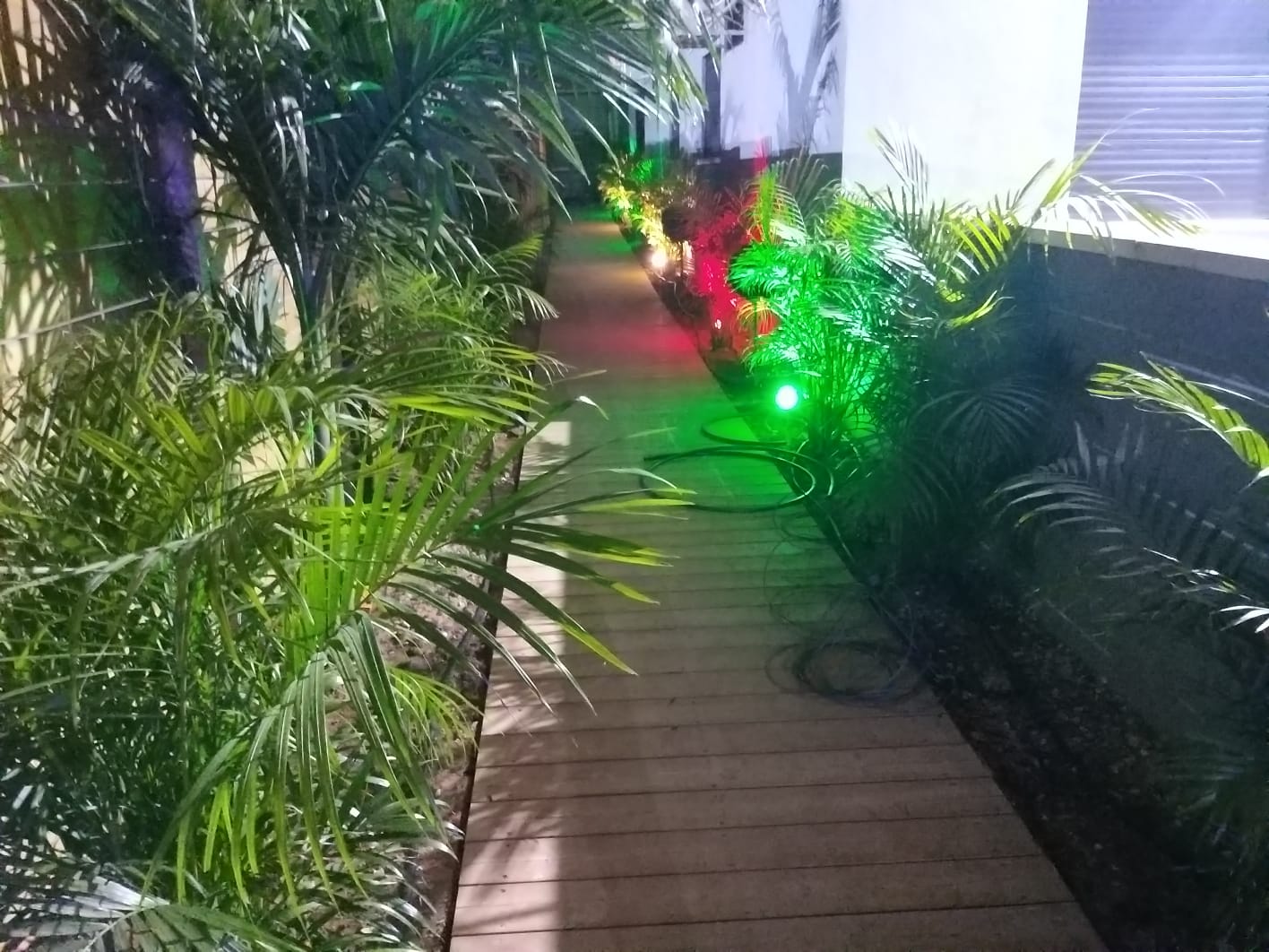 צימרים בצלפון