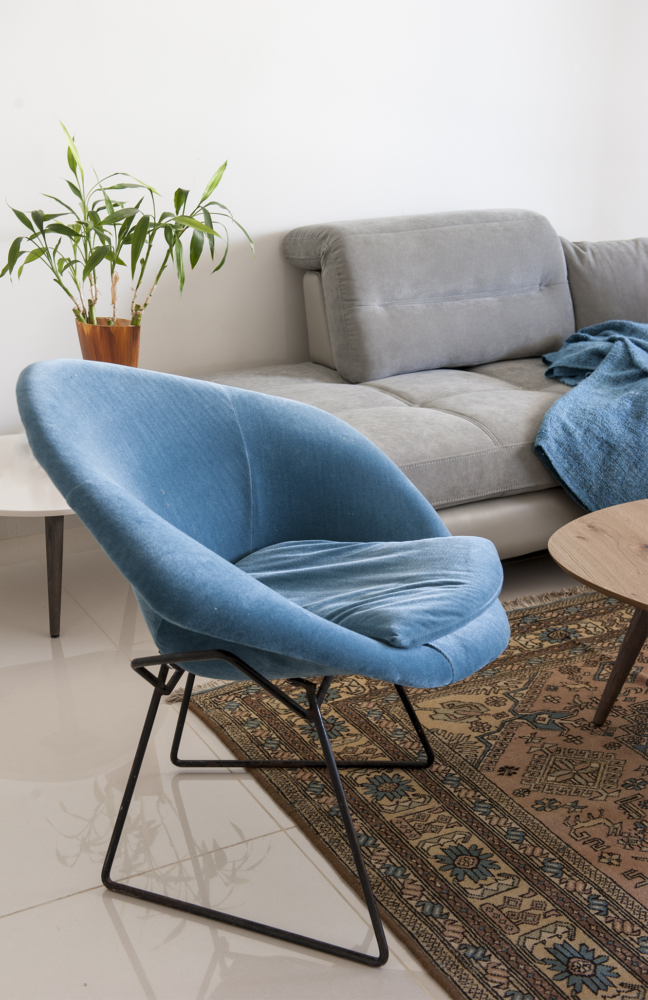 דירת קבלן בת 5 חדרים