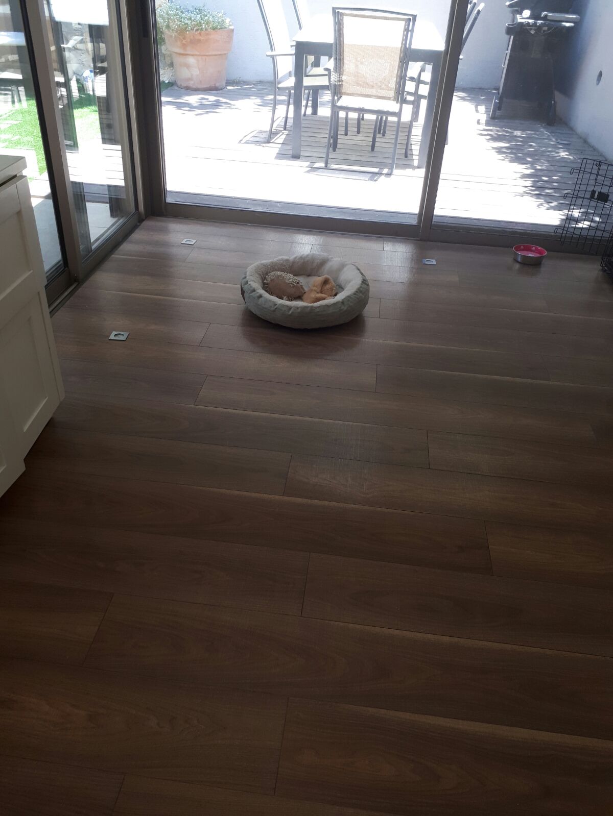 פרויקטים של פרקטופ