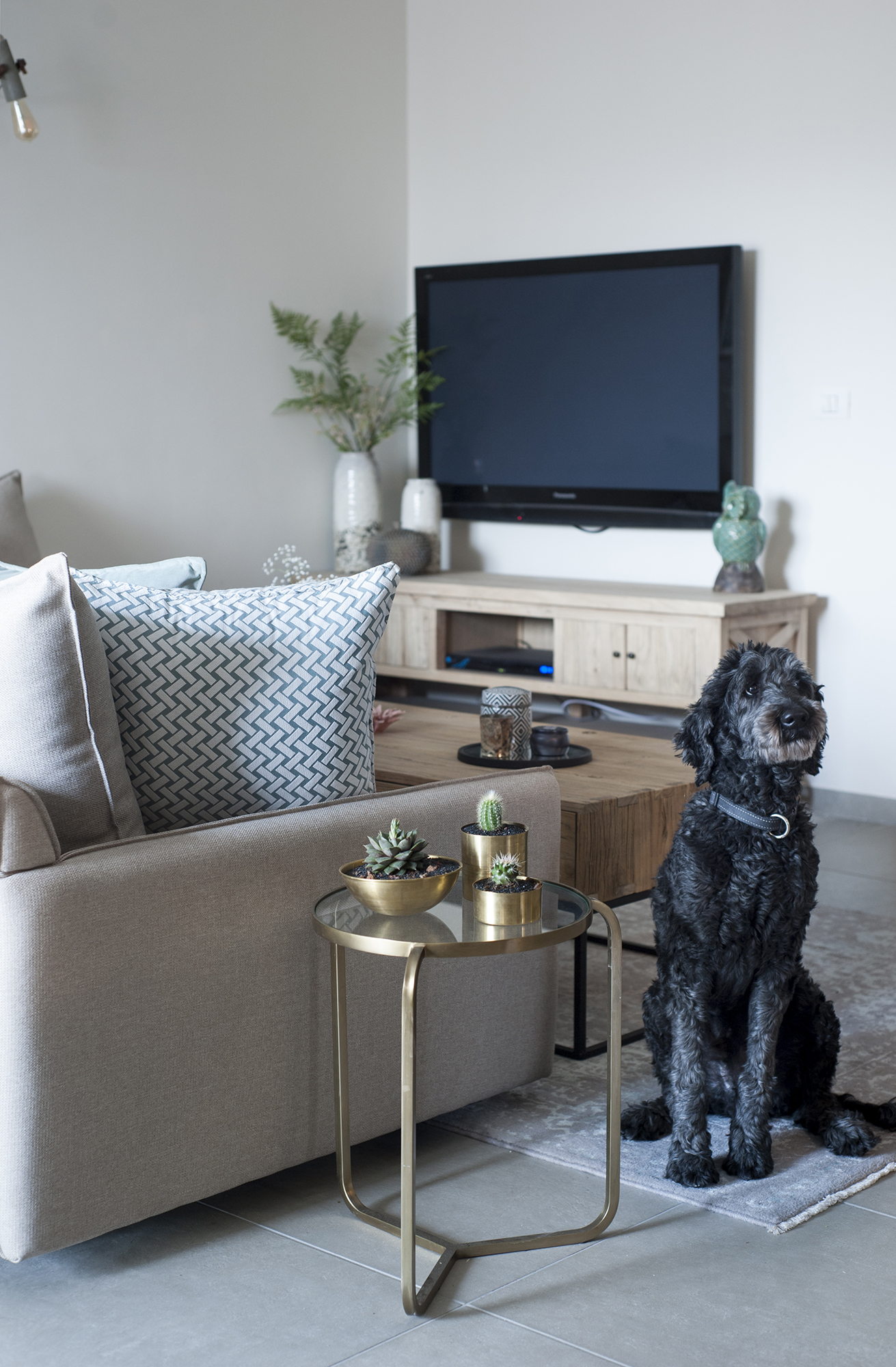 עיצוב דירה בפרוייקט תמ"א