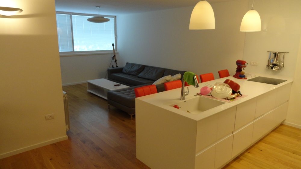 שיפוץ כללי לדירה ברמת אביב