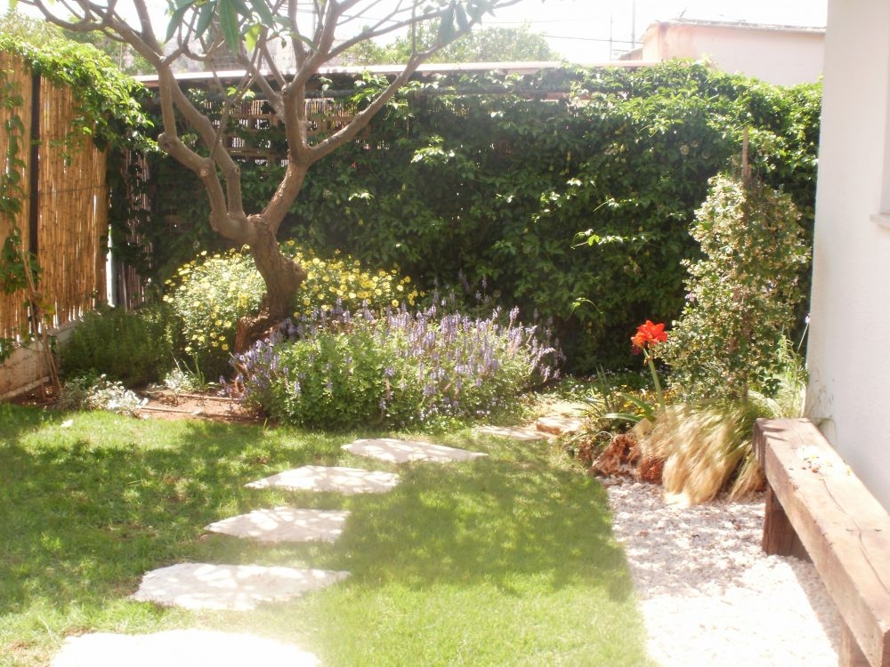 גינה קטנה בפתח תקוה