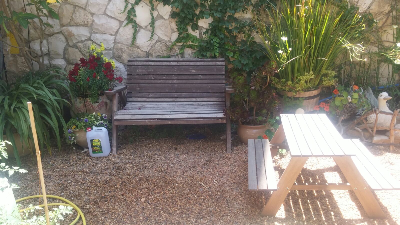 פרויקטים מגוונים