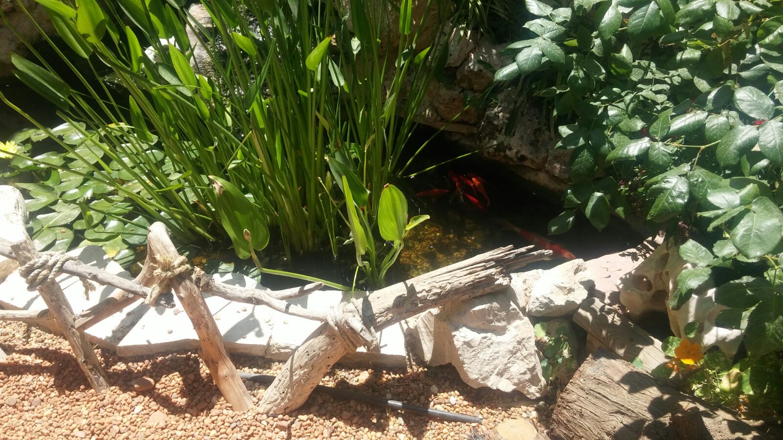 פרויקטים מגוונים