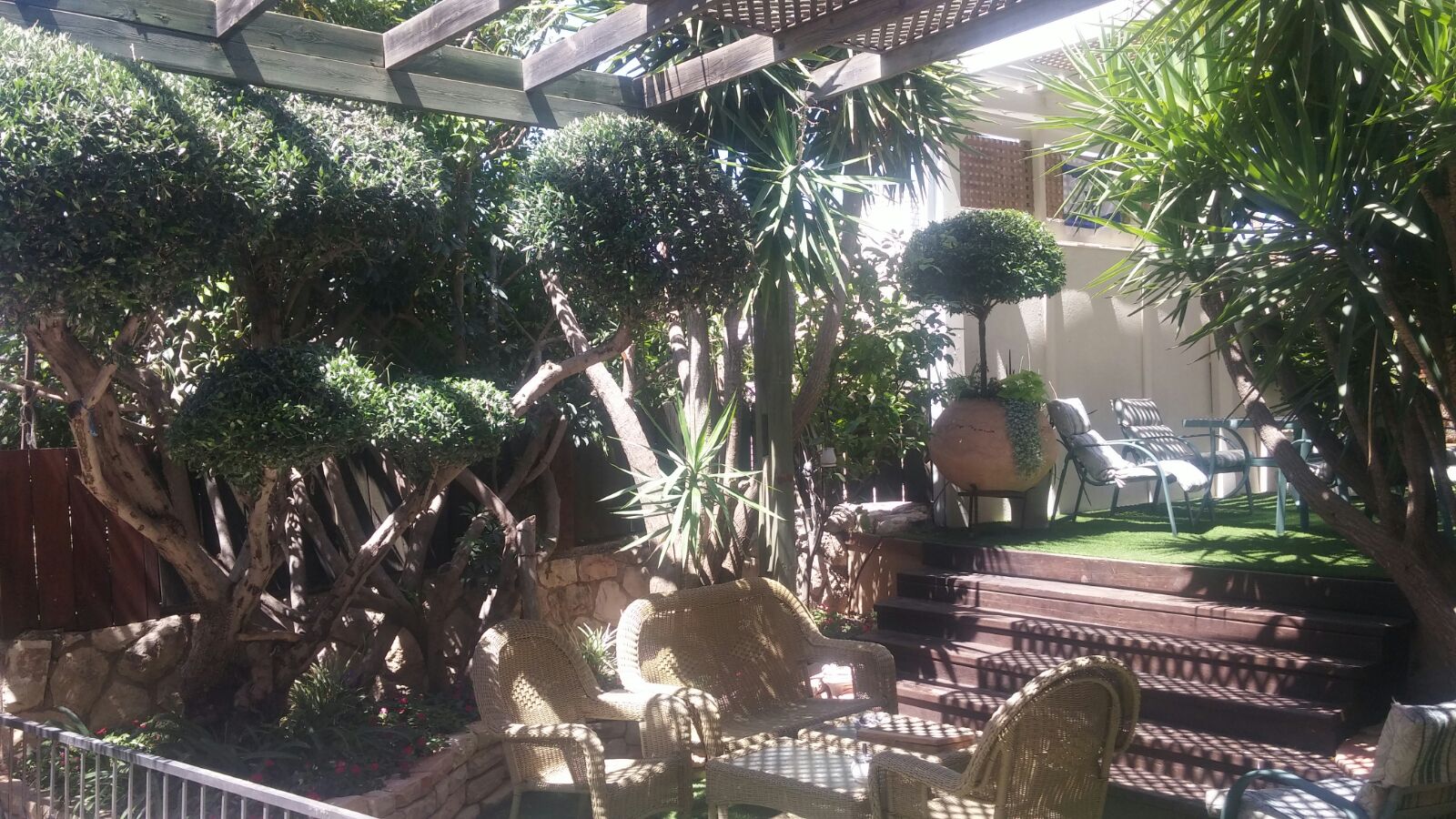 פרויקטים מגוונים