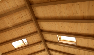 פרויקטים מגוונים