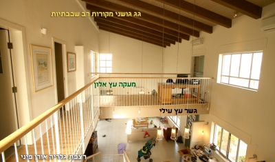 פרויקטים מגוונים