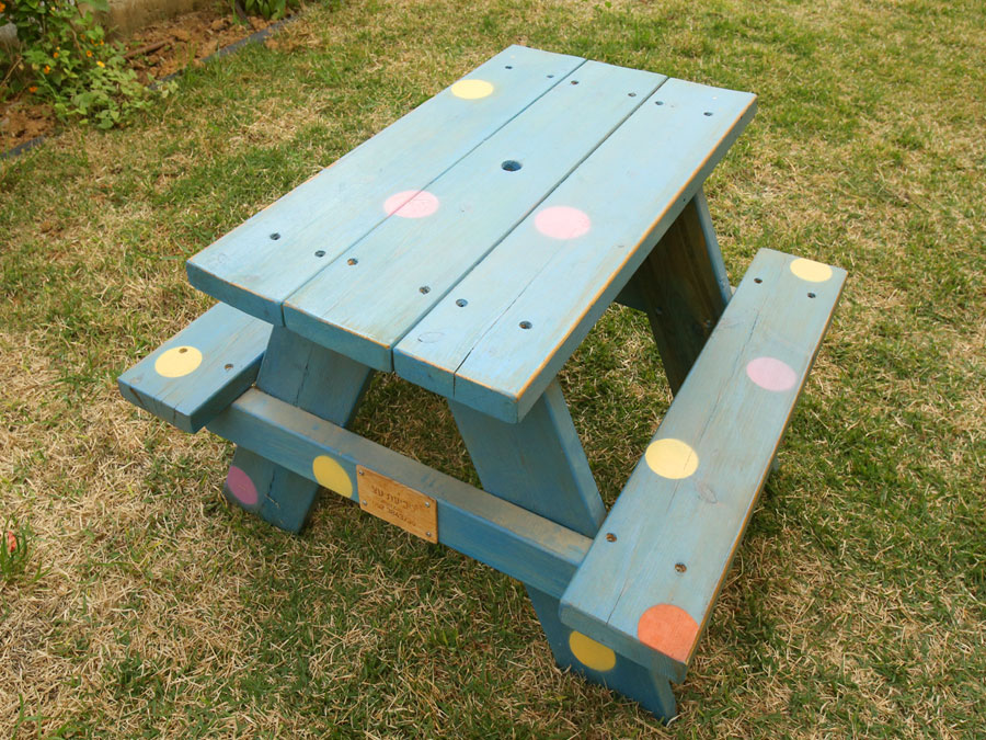 פרויקטים מגוונים