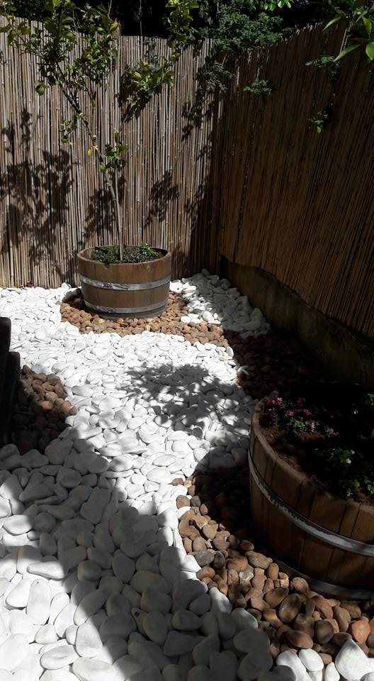 פרויקטים שונים