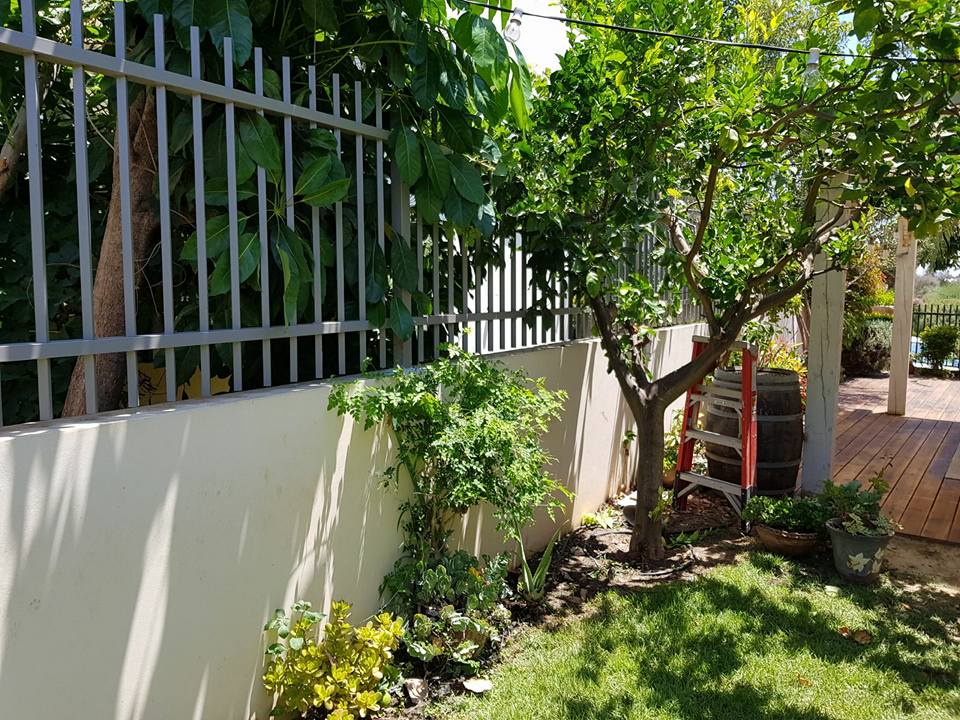 עבודות עץ ומסגרות